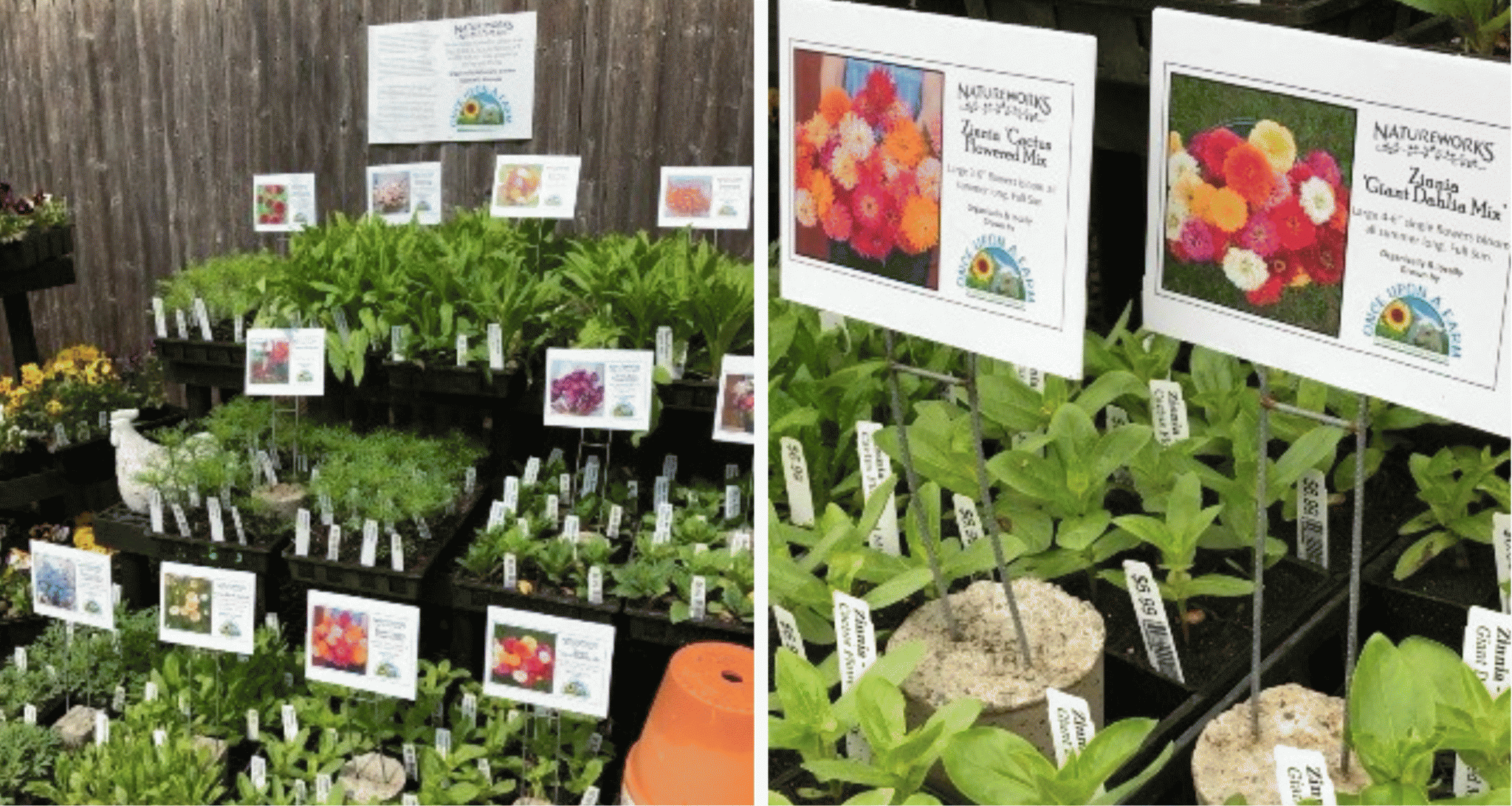Natureworks organic garden center partners with IPPI's Once Upon A Farm